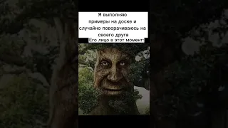 Мудрое дуб #memes