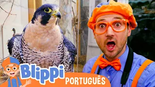 Blippi Visita um Museu Natural! | Episódios Completos | Blippi em Português | Dia da Terra!