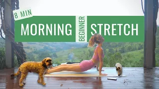 BEGINNER MORNING STRETCH | Train Like a Ballerina