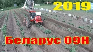 Мотоблок МТЗ Беларус 09Н : окучивание картофеля мотоблоком