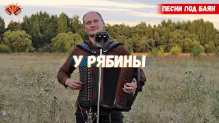 Над широкой рекой/ Евгений Попов - баянист/ Песни под баян.