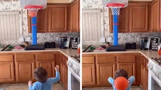 Toddler Is Basketball Sensation