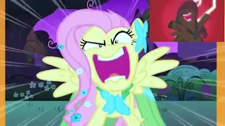 Fluttershy has a Sparta Moog Mix V1.5