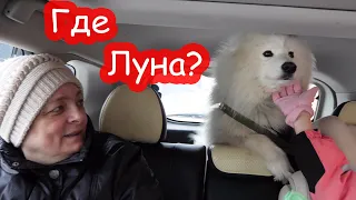 VLOG С кем живет Луна пока Настя уехала. Кого мы пригласили на ночёвку