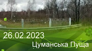 Черемша  2023