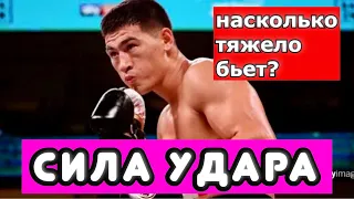 КАКАЯ СИЛА УДАРА У ДМИТРИЯ БИВОЛА? НАСКОЛЬКО ТЯЖЕЛО БЬЕТ?