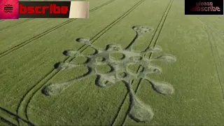 Mysterious coronavirus-shaped crop circle appears in Wiltshire