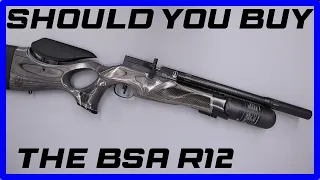 Should you buy the BSA R12?