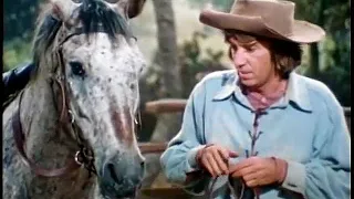 1973 DUSTY'S TRAIL - "Horse of Another Color" - Bob Denver, Forrest Tucker.