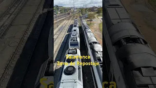 Renfe 599 y 333.3 en zona de repostaje ¡SUSCRÍBETE! ¡REPORTAJES DE TRENES EN YOUTUBE!