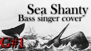 Wellerman Sea Shanty Bass Singer Cover - The Bass Freak.