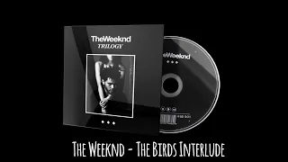 The Weeknd - The Birds Interlude [Leaked Audio]