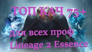 ТОП КАЧ! 75-76 НА ЛЮБОМ КЛАССЕ В LINEAGE 2 ESSENCE