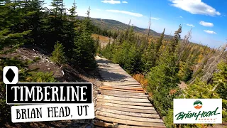 Timberline DH Full Trail POV | Brian Head Bike Park | 4K | 2020