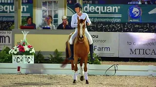 Mustang Demo at the 2014 Adequan Global Dressage Festival