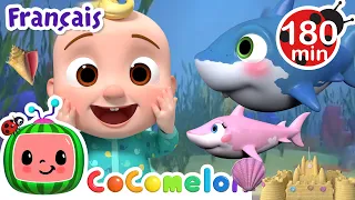 Bébé requin | Chansons pour Bébés | CoComelon Le coin des Animaux de JJ - Comptines