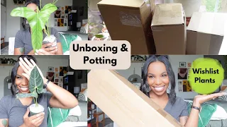 Unboxing Wishlist Plants from Etsy and Ecuagenera + My potting process