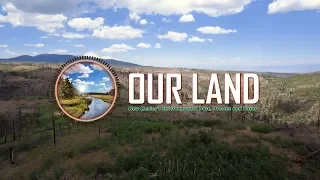 Replanting Trees In The Jemez Mountains | Our Land