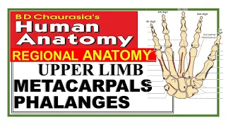 Chp2 | METACARPALS | PHALANGES | Upper Limb Bones | BD Chaurasia Regional Anatomy | Dr Asif Lectures