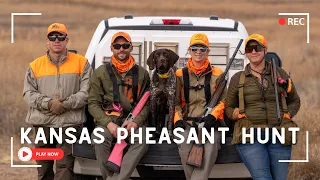 Kansas Pheasant Hunting With A Young German Shorthaired Pointer
