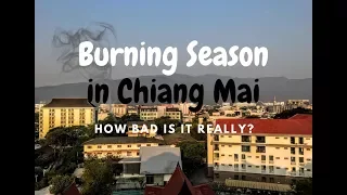 Burning Season in Chiang Mai - When Is it, How Bad is it Really?