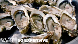 Why Oysters Are So Expensive | So Expensive