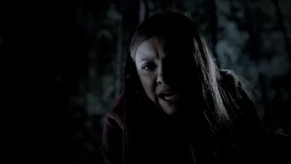 Matt Is Being Hunted By Vampires - The Vampire Diaries 4x11 Scene