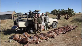 Hunting Blesbuck in Africa.