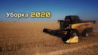 Уборка озимой пшеницы 2020