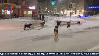 Резонансный инцидент. ТК «Первый Советский»