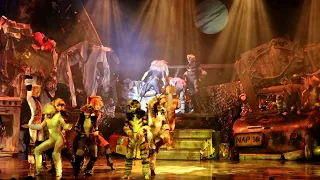 Cats Show On Royal Caribbean Cruise