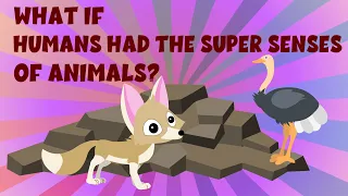 What If Humans Had the Super Senses of Animals? - super senses of animals? - Learning Junction