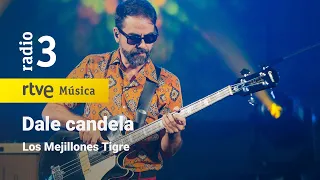 Los Mejillones Tigre - “Dale candela” | Conciertos de Radio 3 (2023)