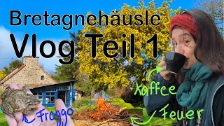 Ein Haus in der Bretagne - Februar Vlog Teil 1- Gartenarbeit, Haustour und Totholzkompost