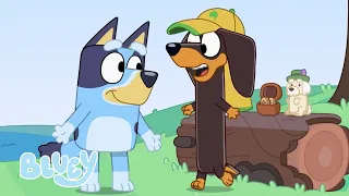 La Emboscada | Bluey Español Canal Oficial