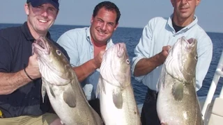 Cod Fishing - Stellwagen Bank, MA