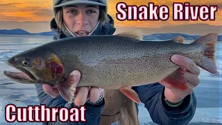 Sketchy Ice - ICE FISHING at Antero Reservoir for CUTTHROAT trout