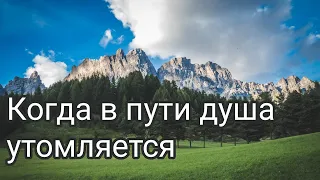 Очень красивое пение Хора "Когда в пути душа утомляется" Христианские песни МСЦ ЕХБ