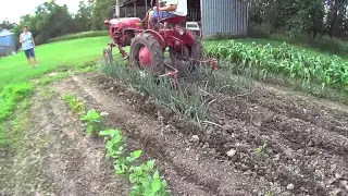 Dad cultivating grandpa's garden with a 1949 Farmall Cub