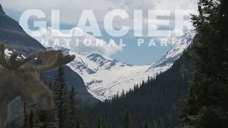 Glacier National Park | July 2022