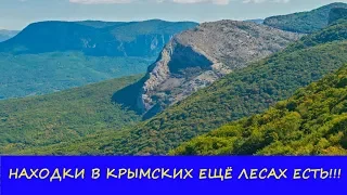 НАХОДКИ В КРЫМСКИХ ЛЕСАХ ЕЩЁ ЕСТЬ!!!