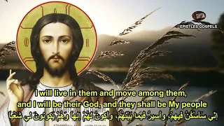 رسالة - انجيل - المجموعة الاولى - orthodox byzantine chant - تراتيل بيزنطية - Epistles