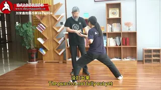 实用拳法炮捶改拳 6 Cannon Fist Correction - Chen Style Taijiquan Practical Method