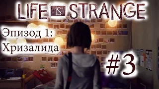 Life is Strange - Эпизод 1: Хризалида #3 [русская озвучка, без комментариев]