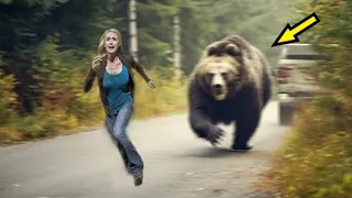 The bear was chased by the girl for half a day! But it turned out to be a completely different reaso