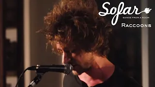 Raccoons - Nine Rays | Sofar Moscow