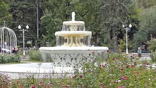 Лето в Парке Горького и Нескучном саду. Видеозарисовка.