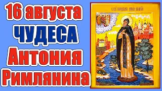 16 августа - день памяти преподобного Антония Римлянина. Новгородского чудотворца.