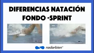 Sun Yang nadando larga distancia vs sprint; Analizamos las DIFERENCIAS técnicas