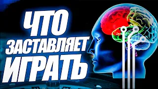 Что заставляет играть в азартные игры. Почему тяга к игре в казино.